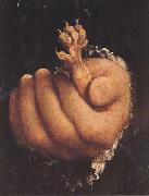 Lorenzo Lotto Man with a Golden Paw (mk45) oil painting